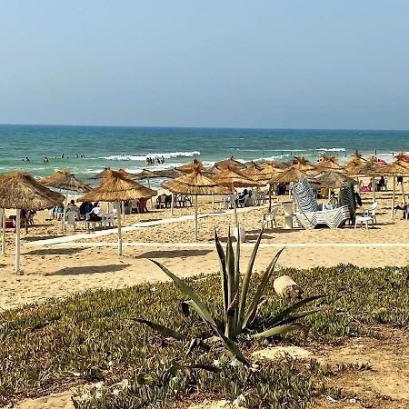 Apartamento Roof Top Pied Dans L'Eau Panoramic View, 80 Meters From Seaside Hammamet Exterior foto